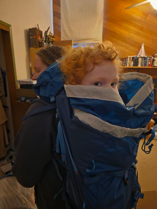 oneeyedalpaca tweet media