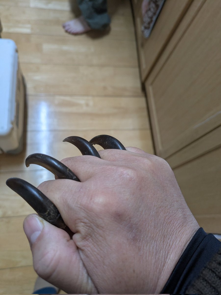 てーぼー tweet media