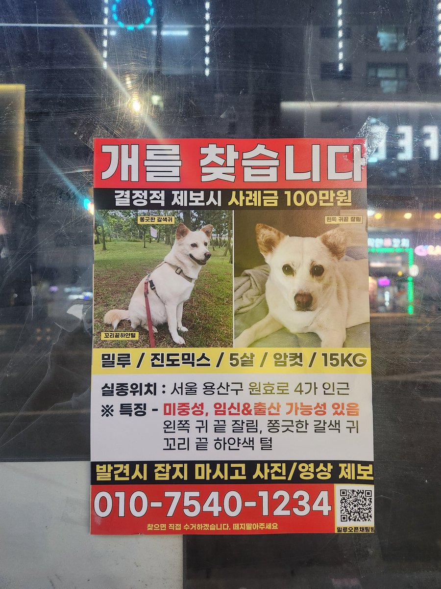 순미맘 tweet media