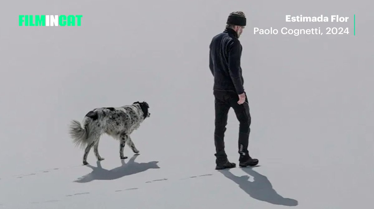 FilminCAT tweet media