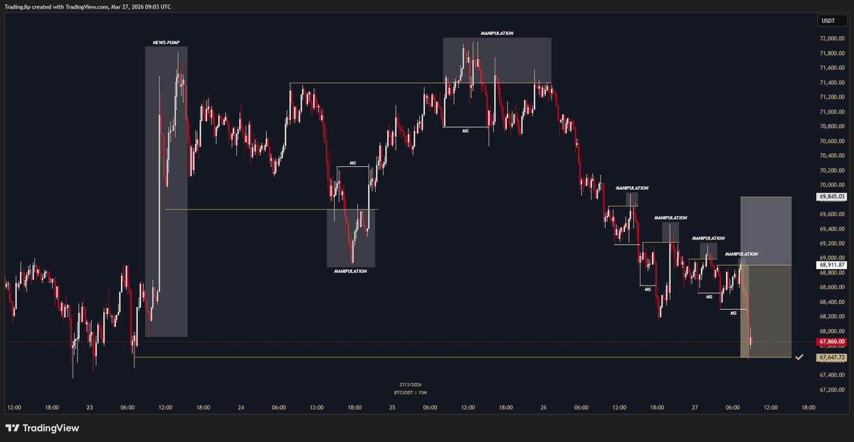 Jip Molenaar tweet media