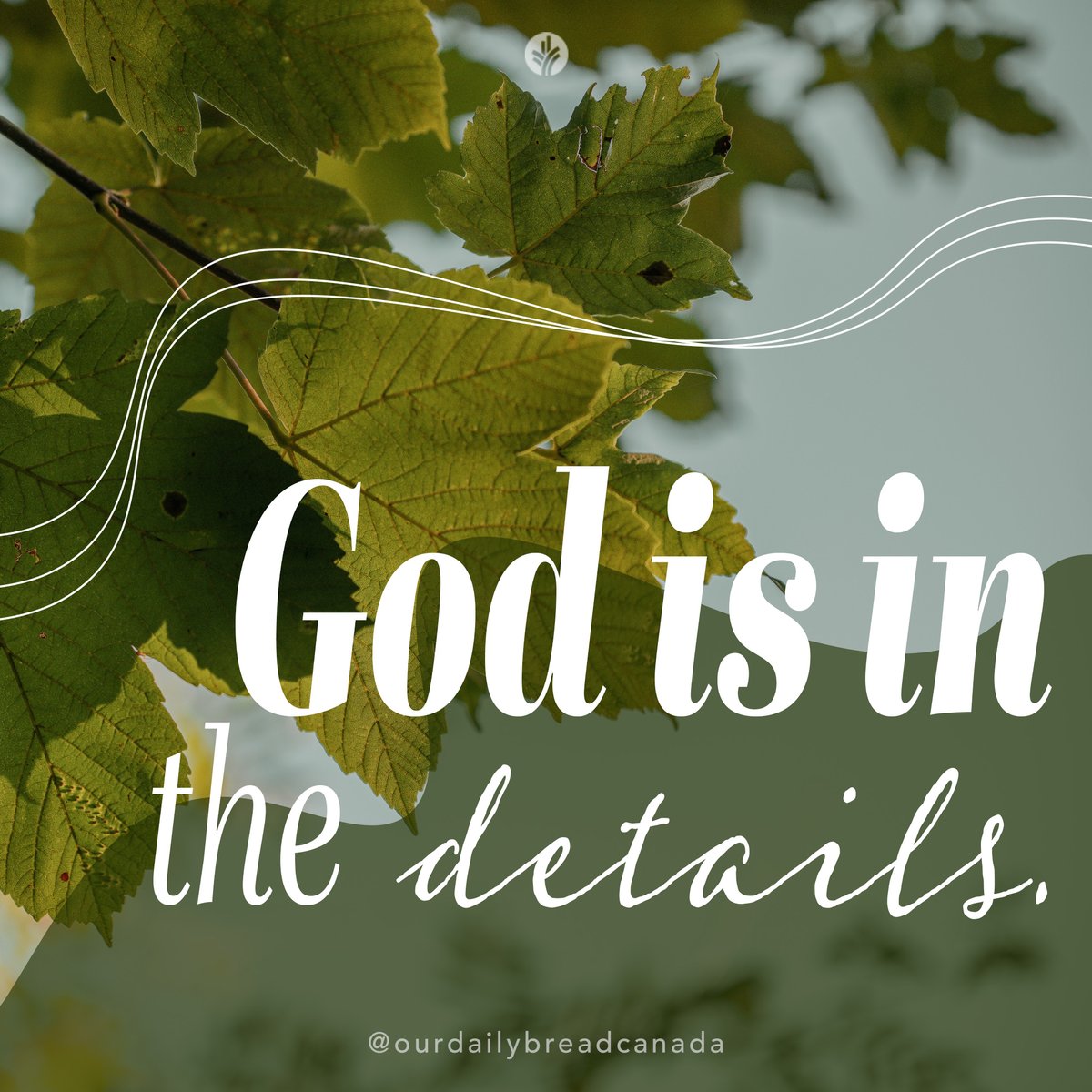 Our Daily Bread Canada tweet media