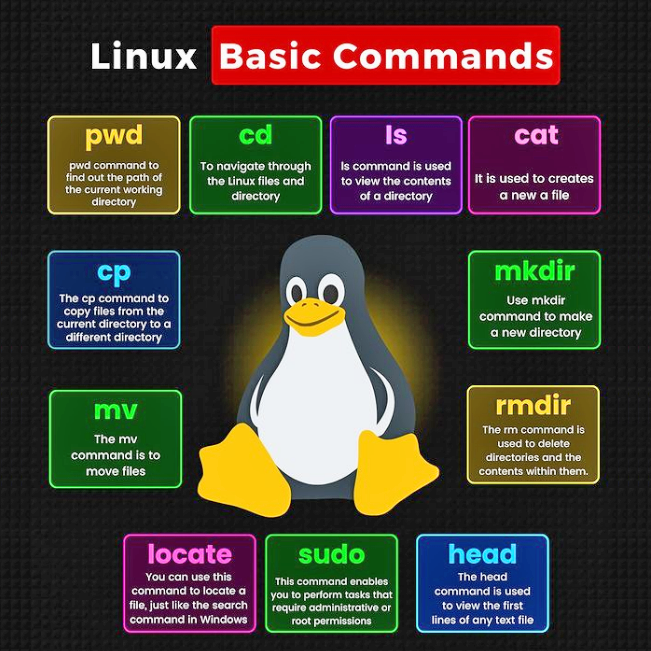 linux_deepin's tweet image. Starting your Linux journey with basic commands? 😆
But we know you’re secretly a pro already. 🥰
#Linux #Basic #codinglife #programming