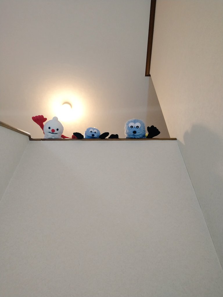 🍏るみるみ🍎 tweet media