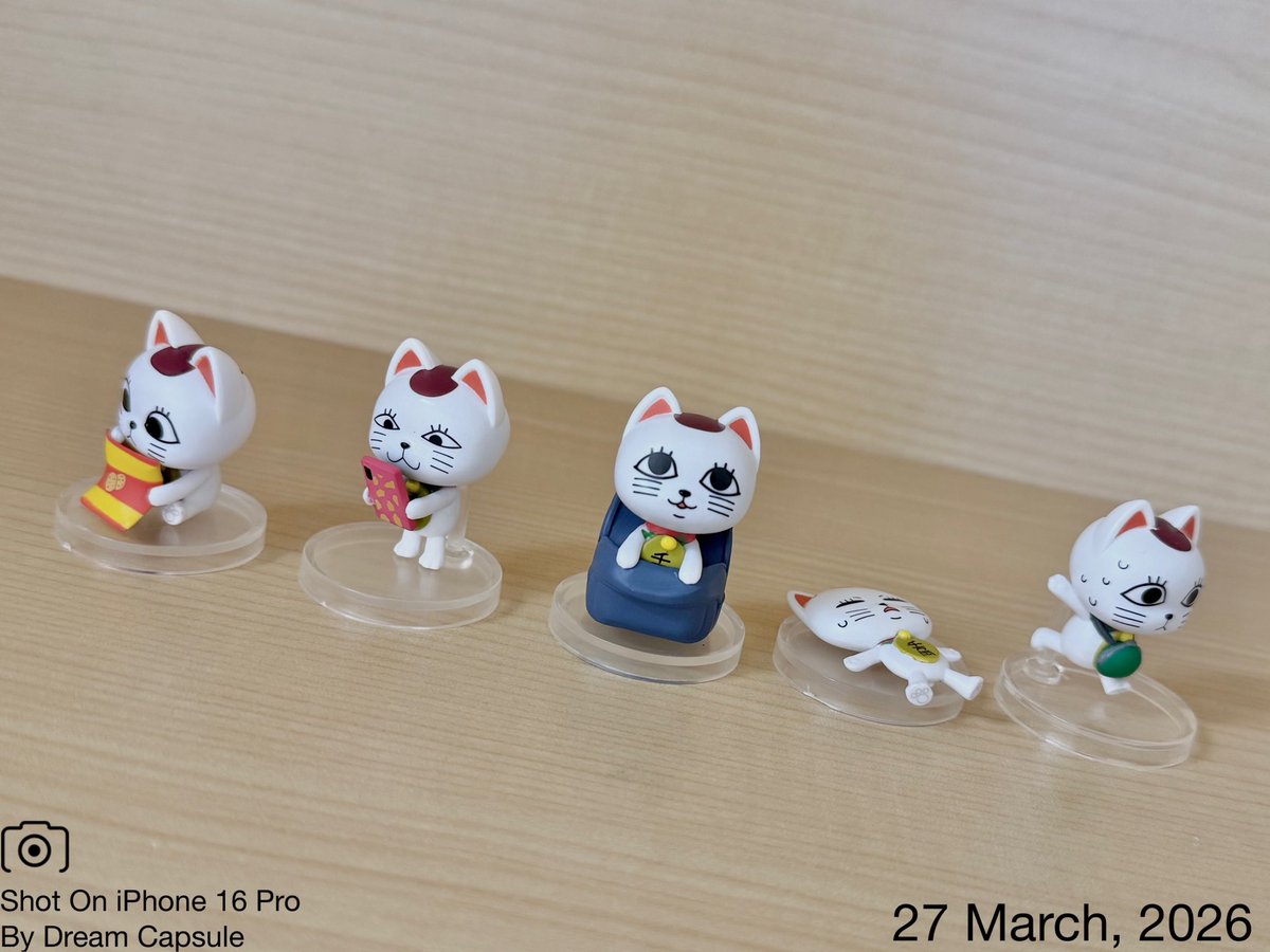 ドリームカプセルの中の人【公式】 tweet media