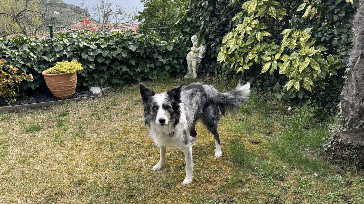 LokiGottdesSchabernacks tweet media