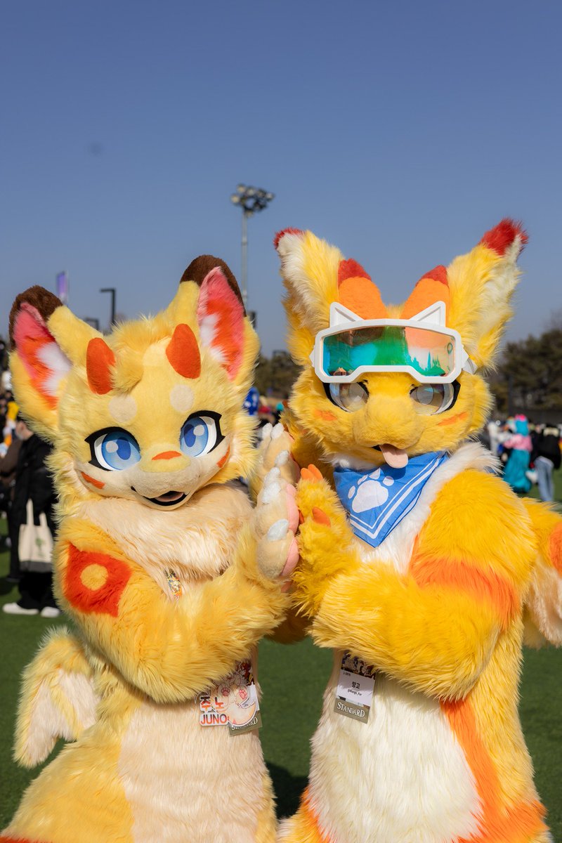 Juno_dragon tweet media