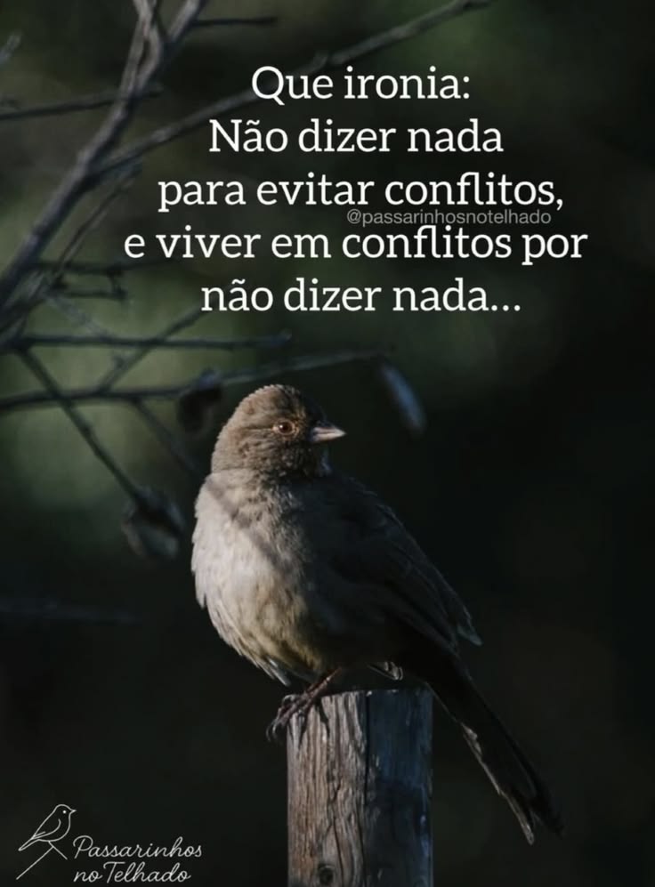 cristaassis's tweet photo. Fale com Deus. https://t.co/b3zmT3EcV7