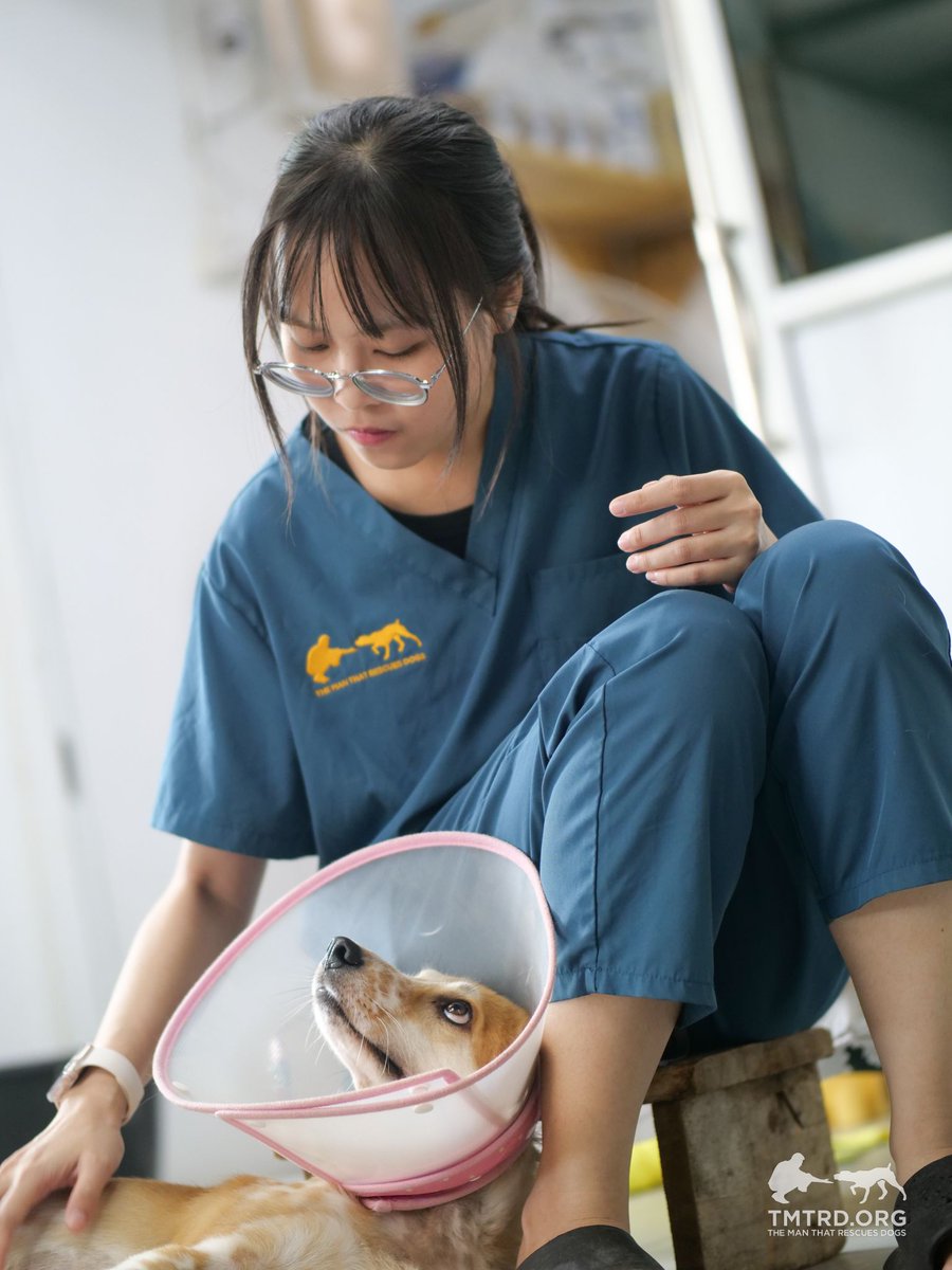 TMTRD - The Man That Rescues Dogs Foundation tweet media