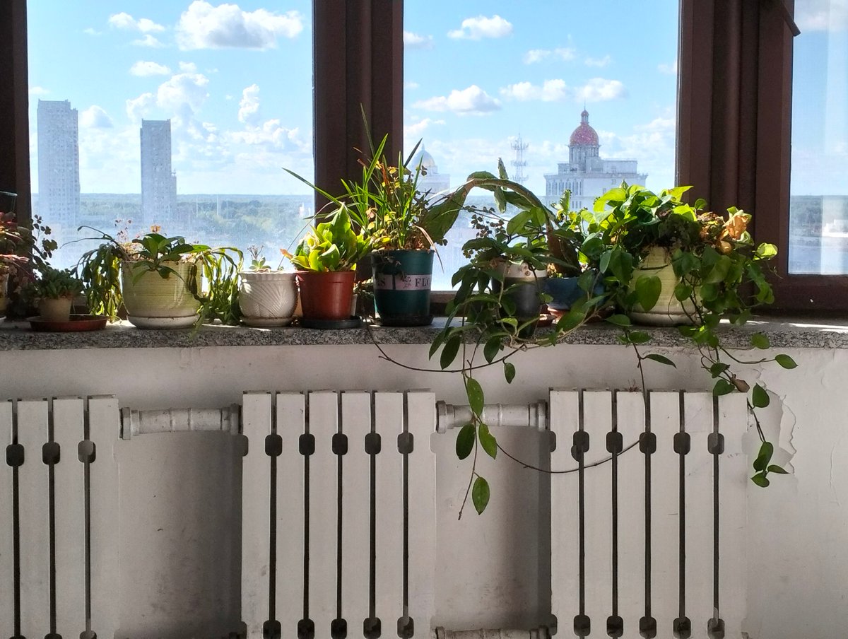 Chris Shields tweet media