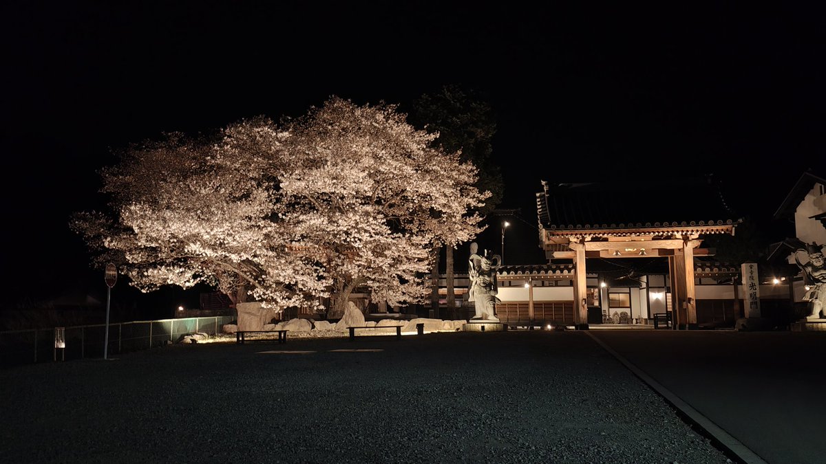 常幸院ー今・ここ・生きる・幸せー【山梨県・身延町】 tweet media