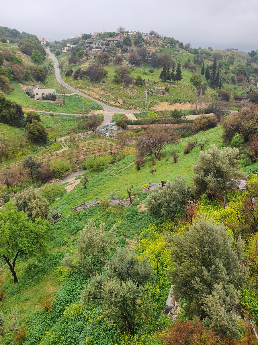 نـور حمدان tweet media