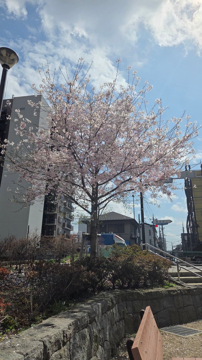 髙橋 亘 令和八年三月二十一日(土) 宝生流定期能 午後(15:30開演)の部『采女~うねめ~』シテ tweet media