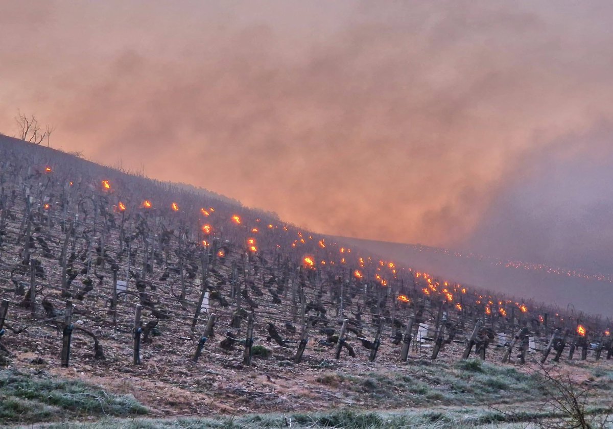 Météo89 tweet media