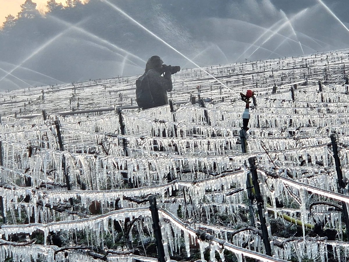 Météo89 tweet media