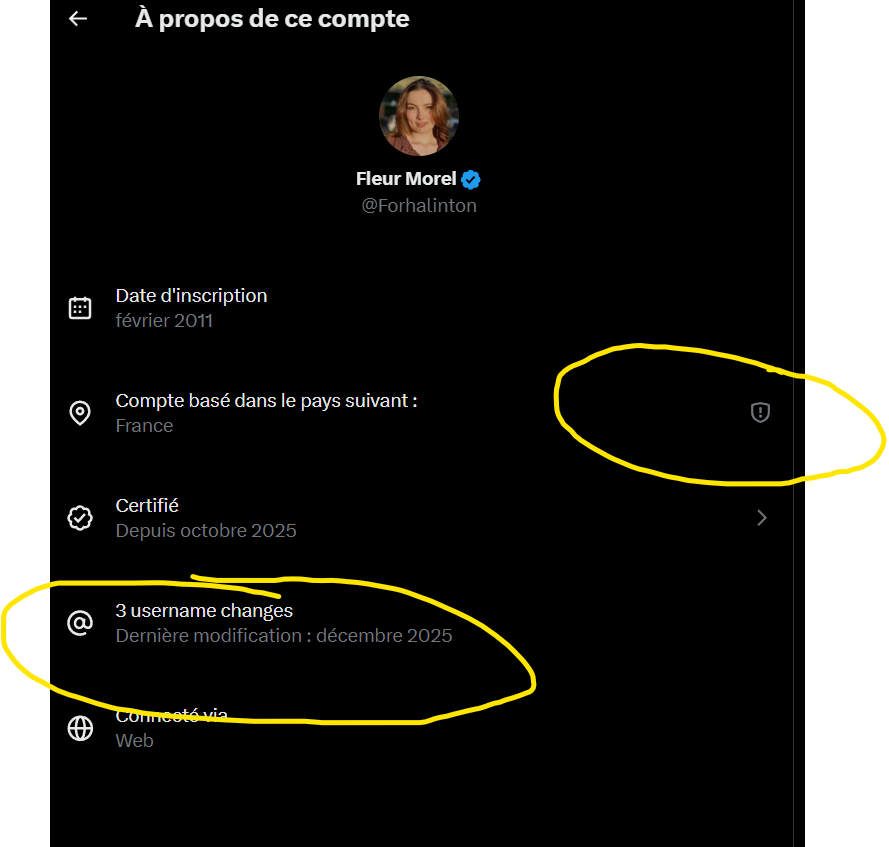 StratGogol tweet media