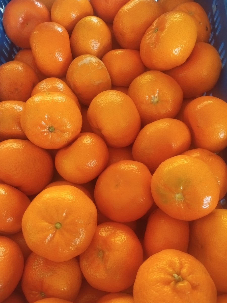 IES MATEO HERNÁNDEZ tweet media