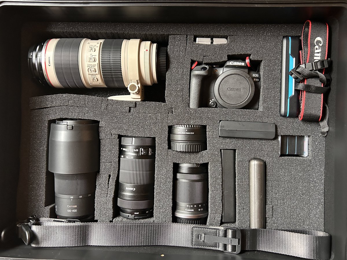 Norley mon tweet media