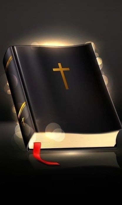 daniela grigoras tweet media