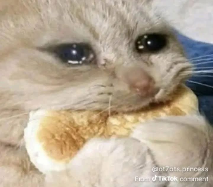 阿逸啊 tweet media