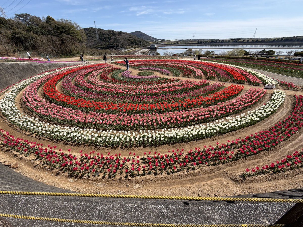 ティーズチャンネル tweet media