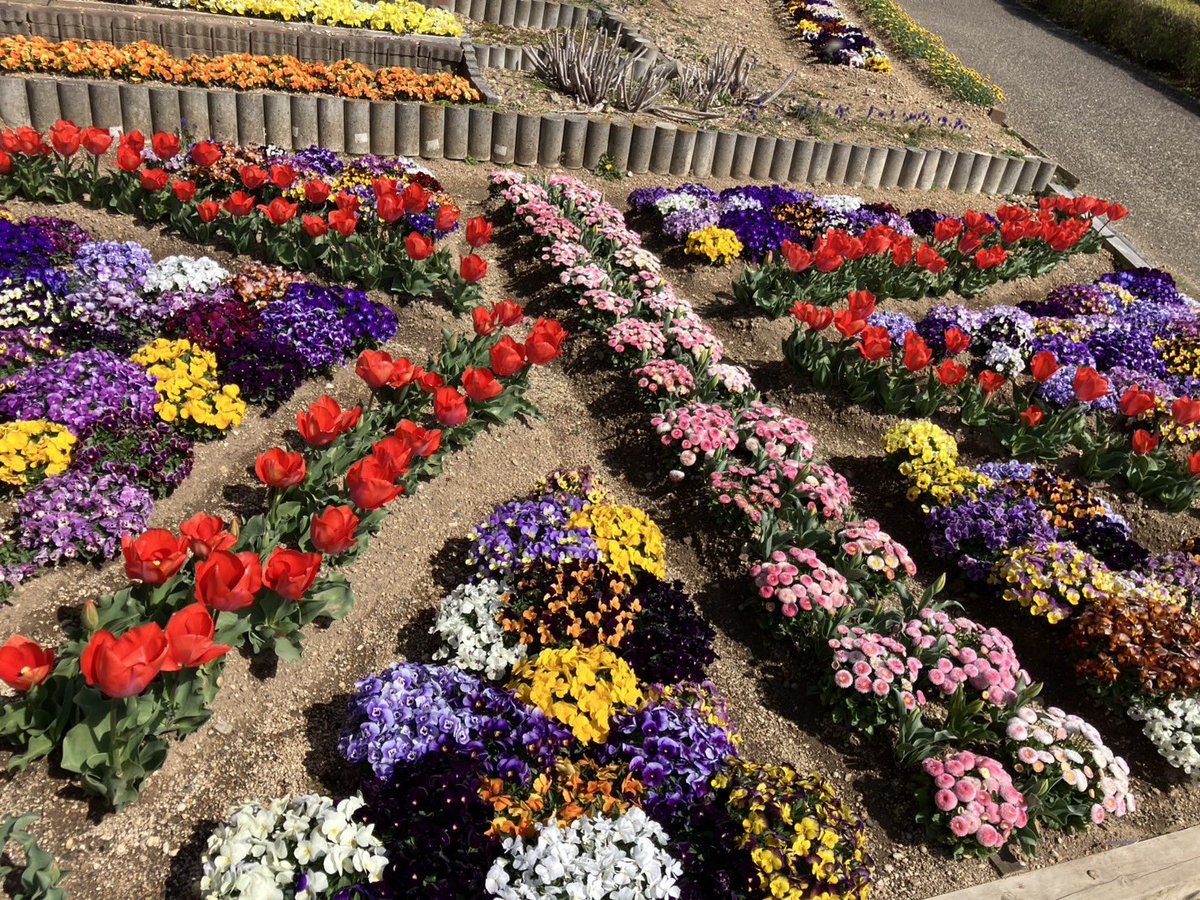 ティーズチャンネル tweet media