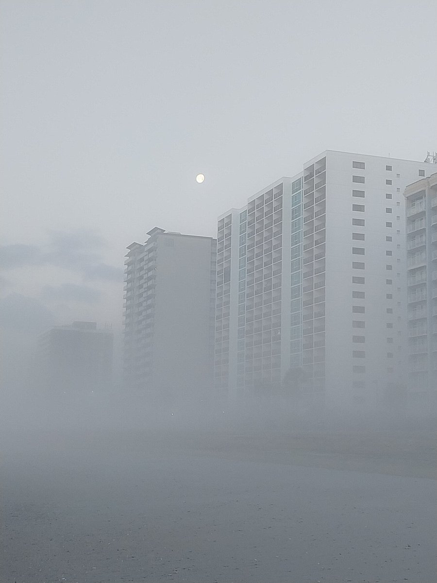 David @ Myrtle Beach tweet media