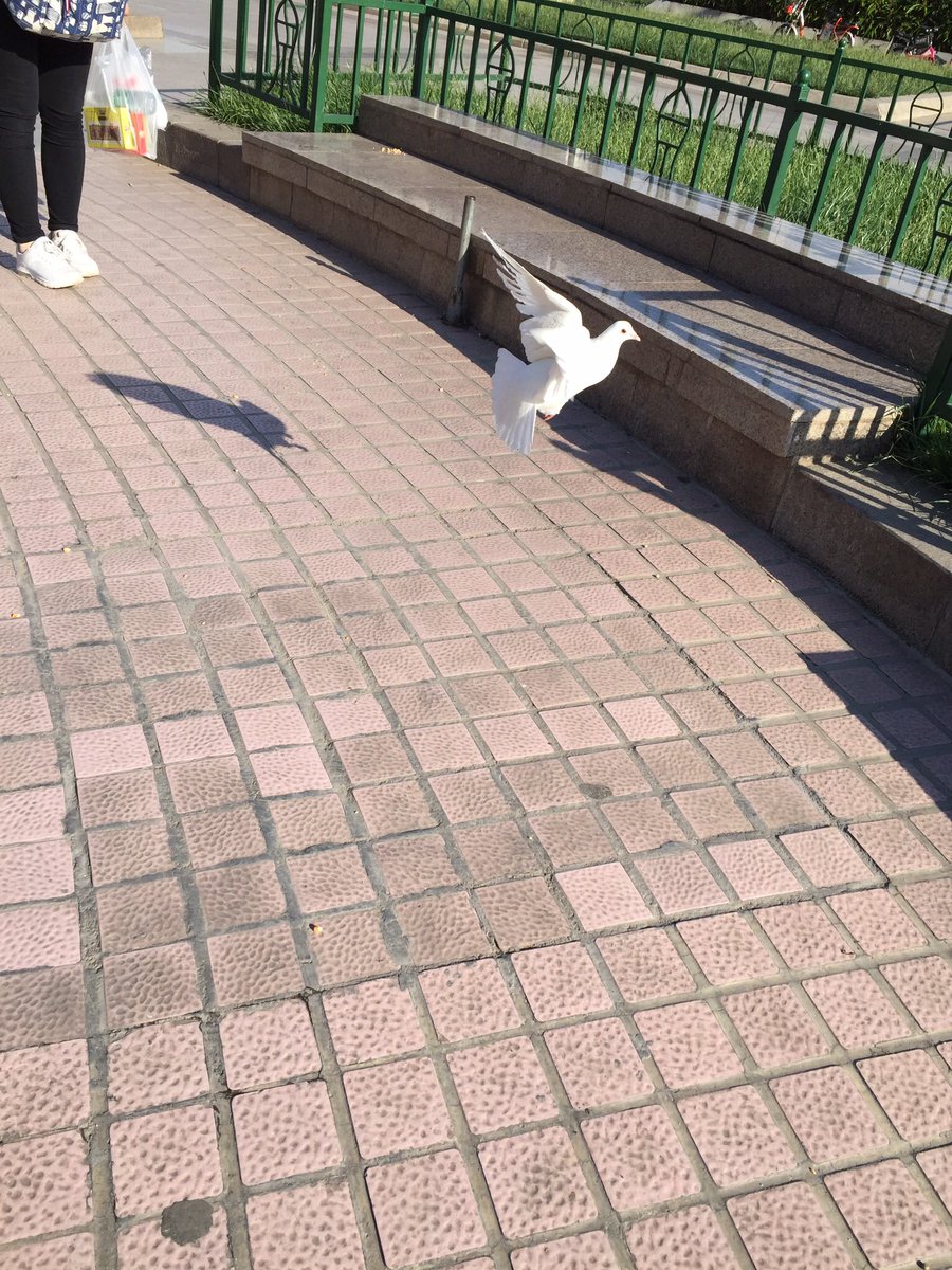 Dr Danny tweet media