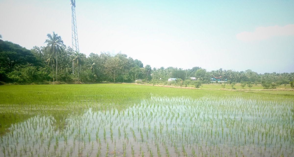 Jayashankar Vijayaraghavan tweet media