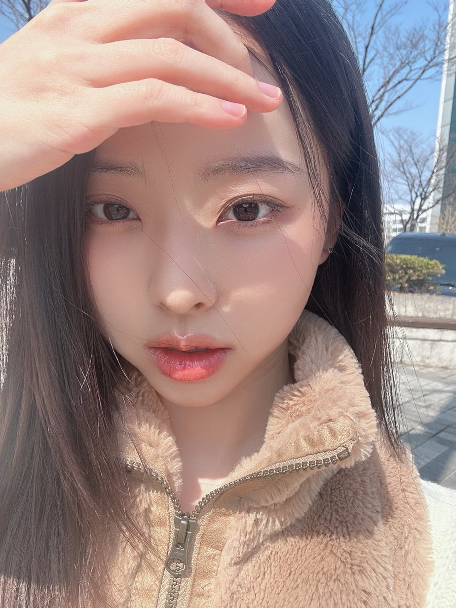 vivi folder tweet media