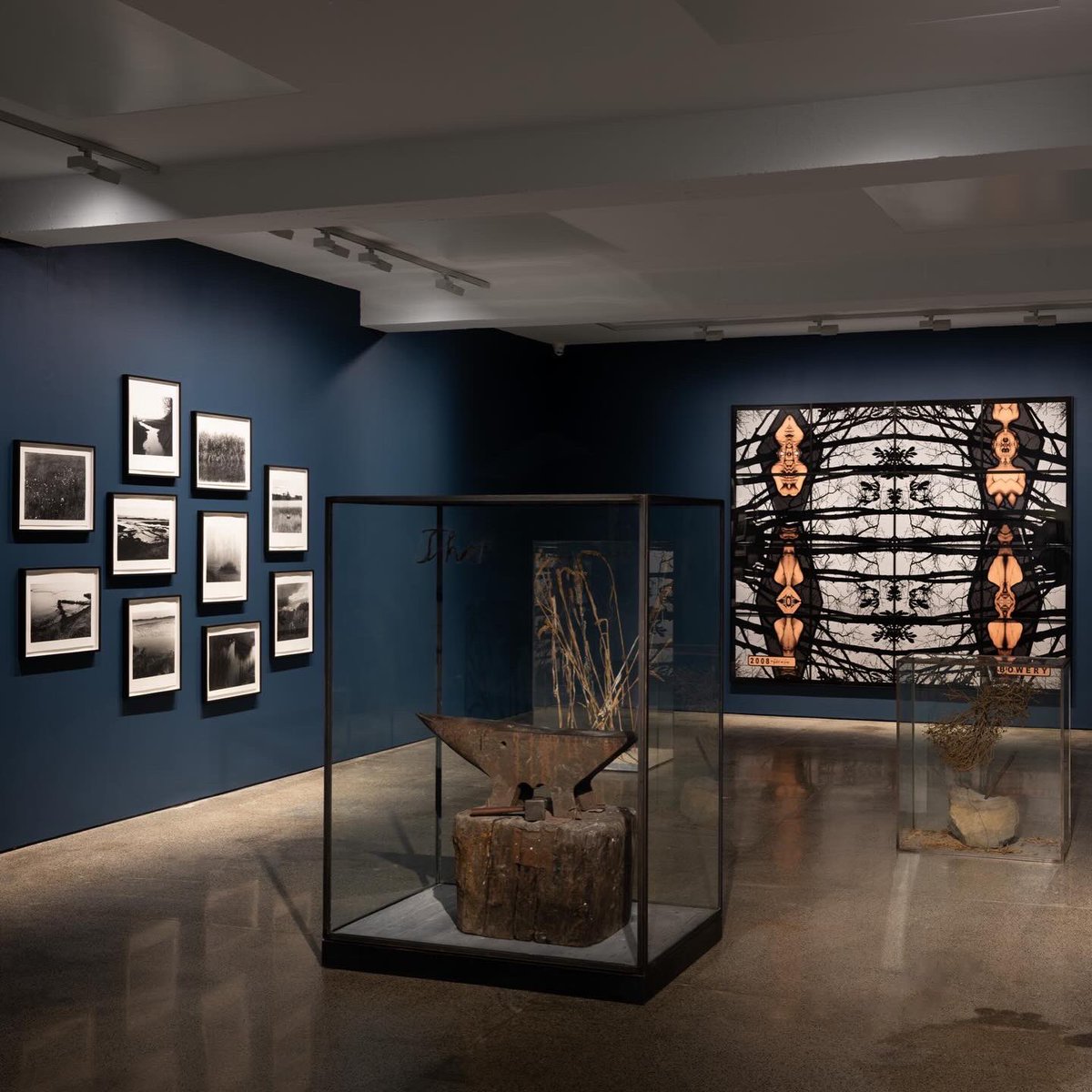 Robert Diament tweet media