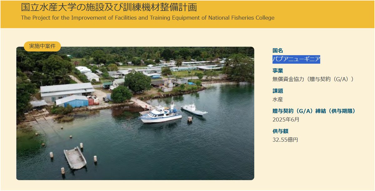 夏樹蒼依 tweet media