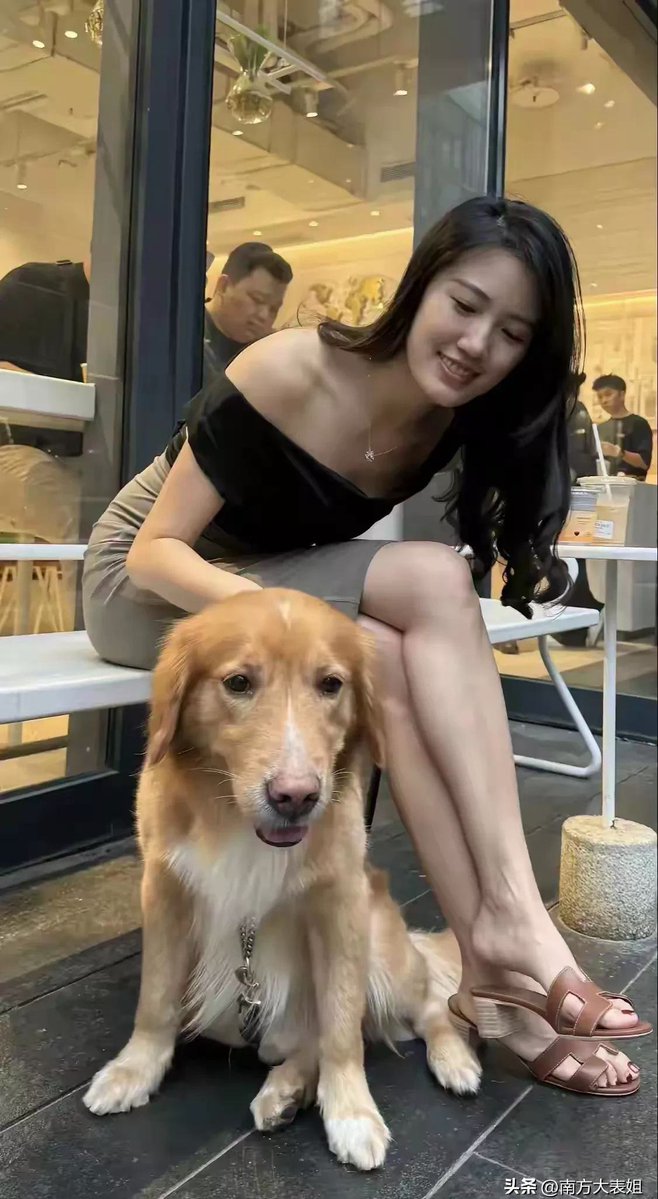 Jerry Stewart tweet media