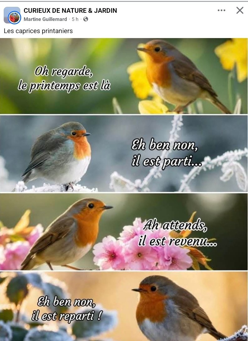 🇫🇷 MIDY Rosamonde 🇫🇷🐕📸🌕⭐️ tweet media