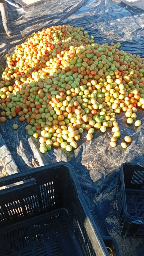 VillageGuyWithAComputer! tweet media