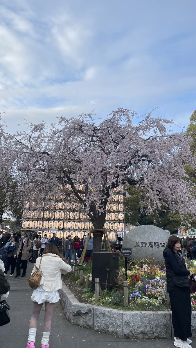 𝕏 ぽんすけ🐼🐻‍❄️ 𝕏 tweet media