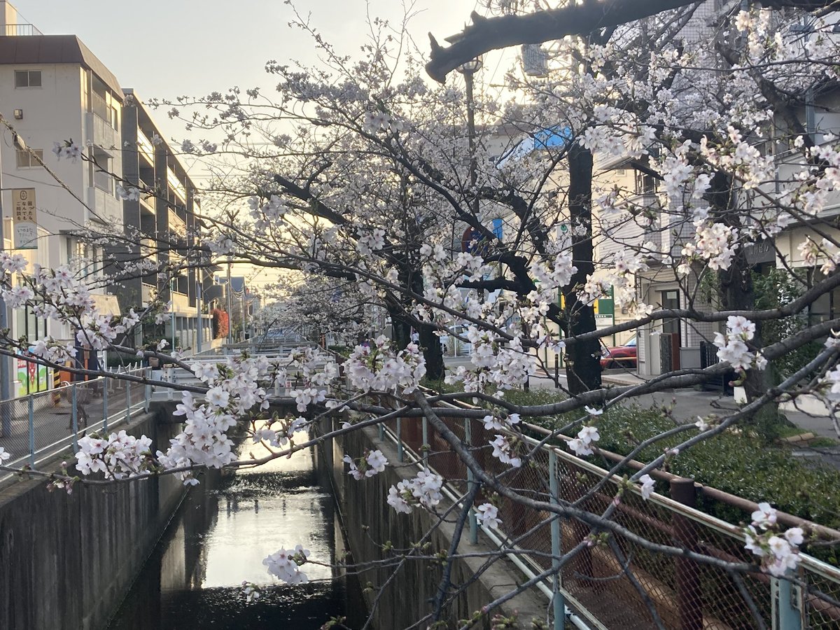 大矢康裕@山岳防災気象予報士「山岳気象遭難の真実‥過去と未来を繋いで遭難事故をなくす」 tweet media