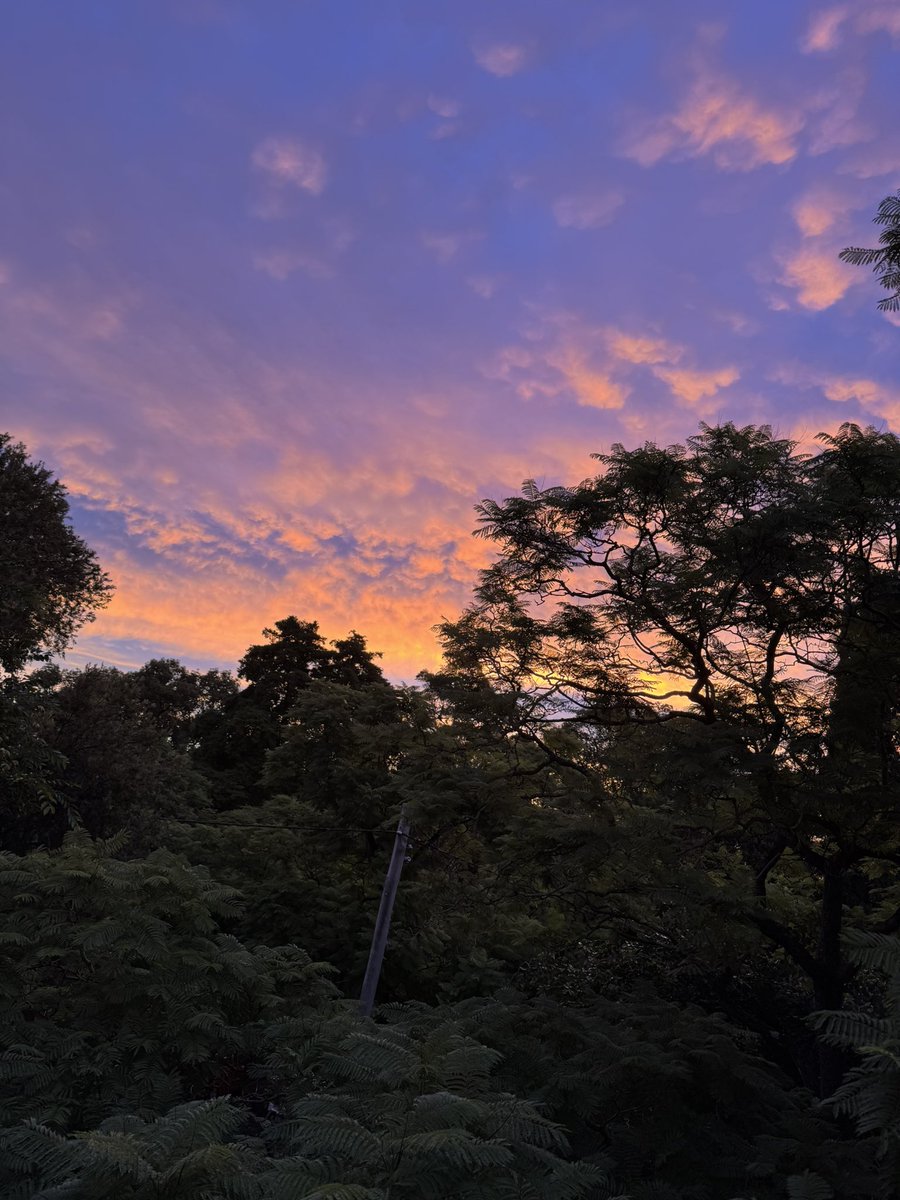 Jake 🗝✨ tweet media