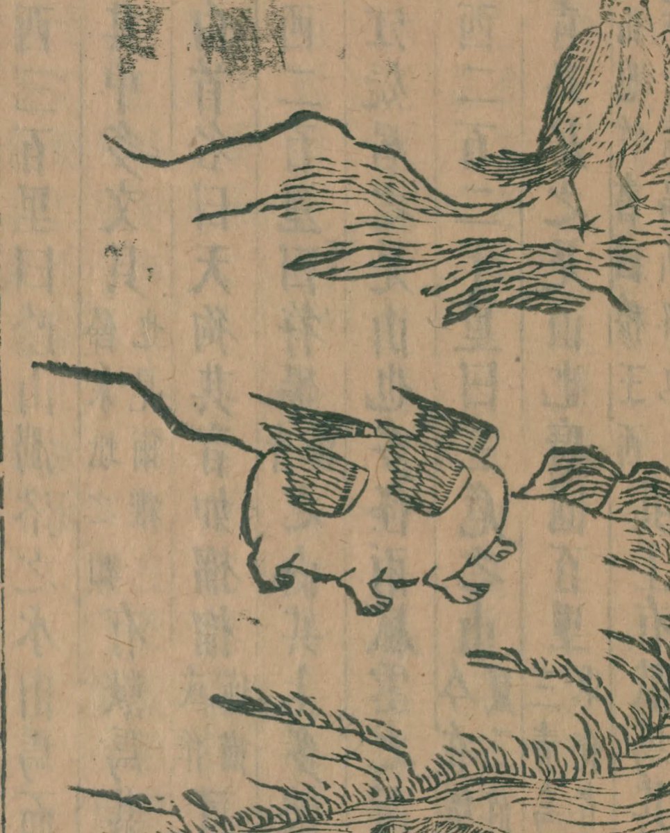 ✧˚˳*うぇるちゃん*˳˚✧ tweet media