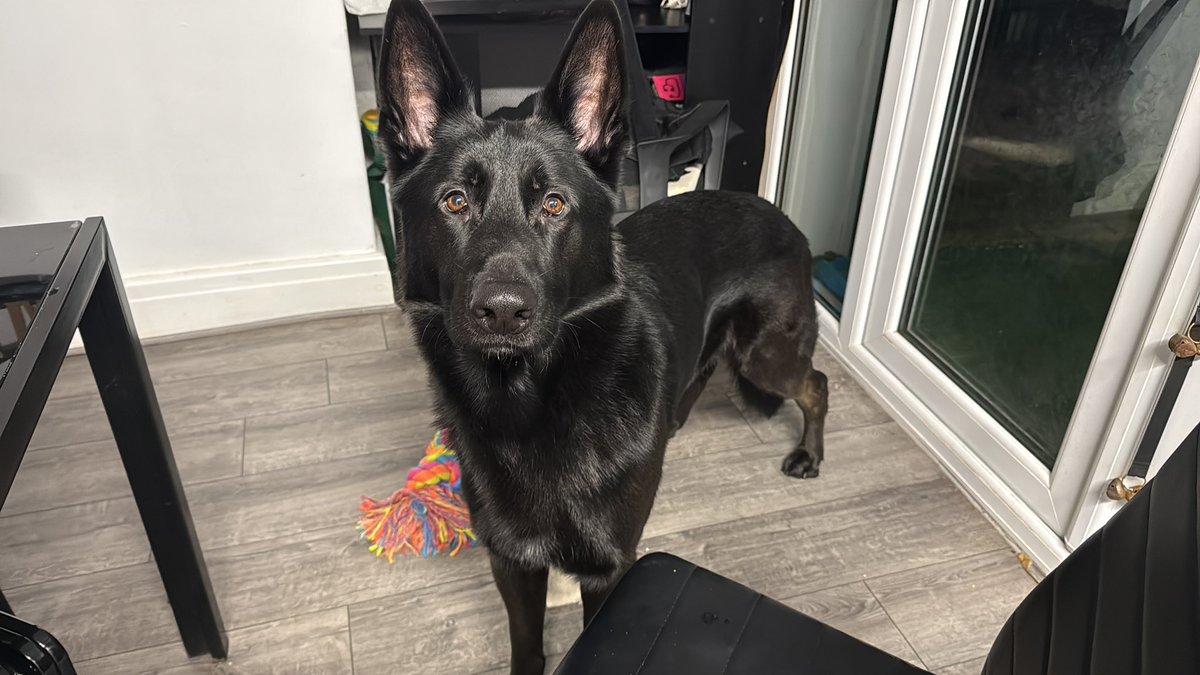 Jim smiff tweet media