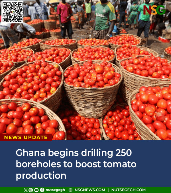 NSG News | Ghana tweet media