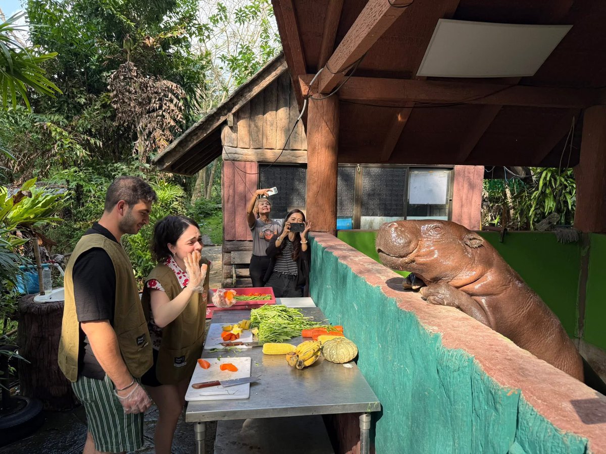 Khamoo.andthegang tweet media