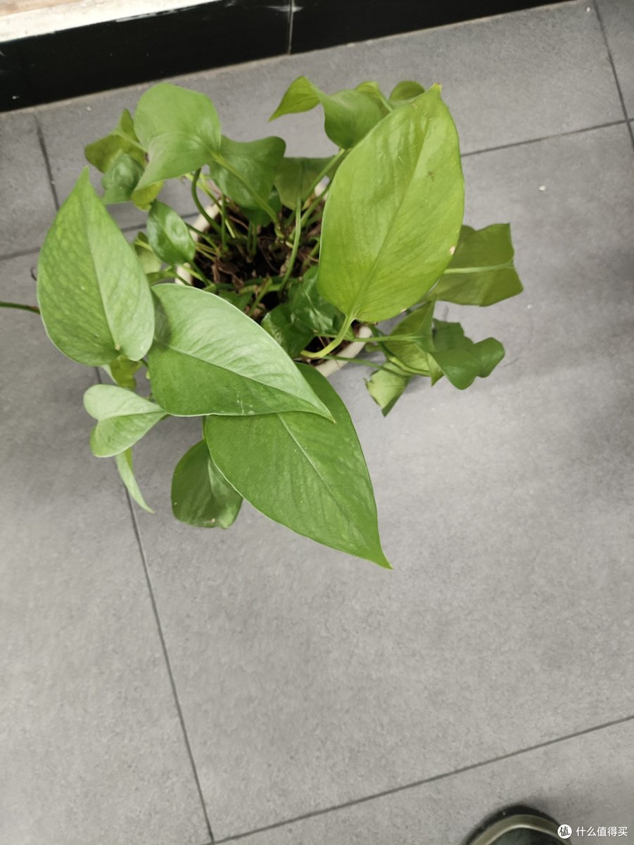 Biu Production tweet media