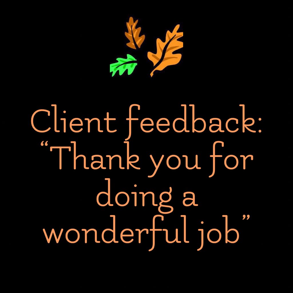 Masons Tree Surgery tweet media