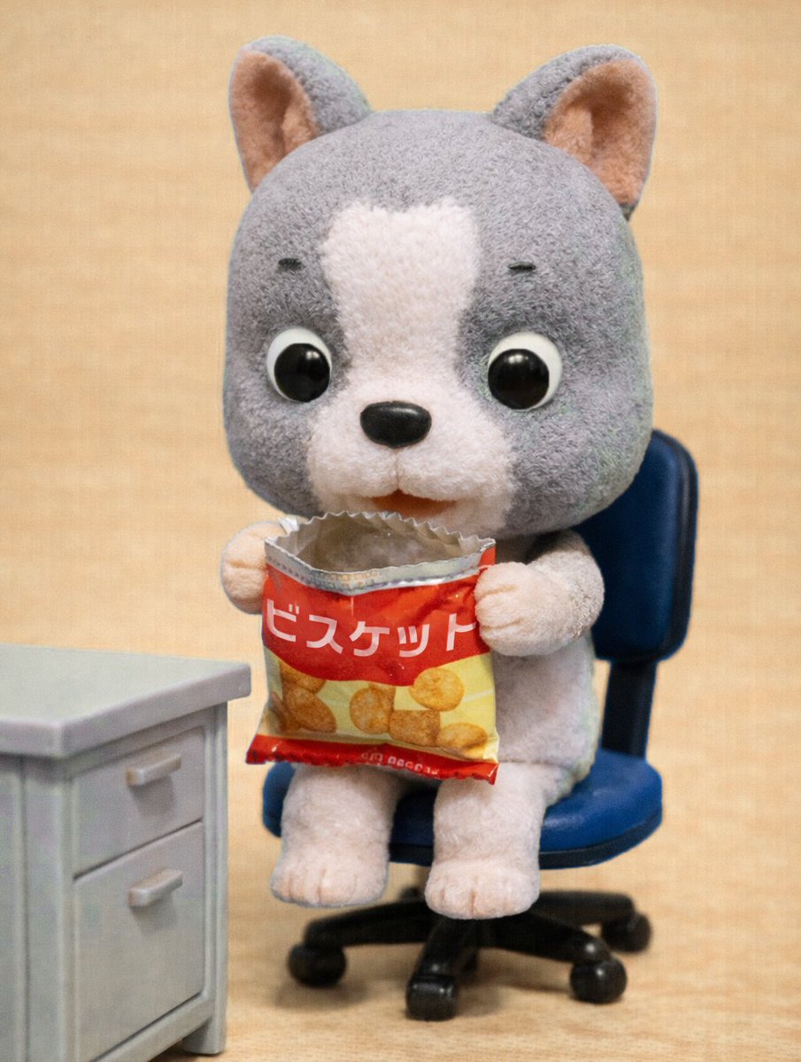 スタジオビンゴ tweet media