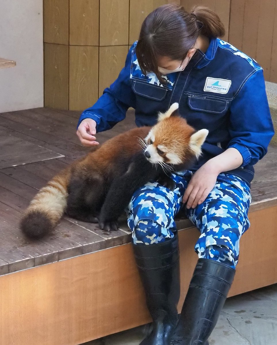 mimi (@mimi0709r) / Posts / X