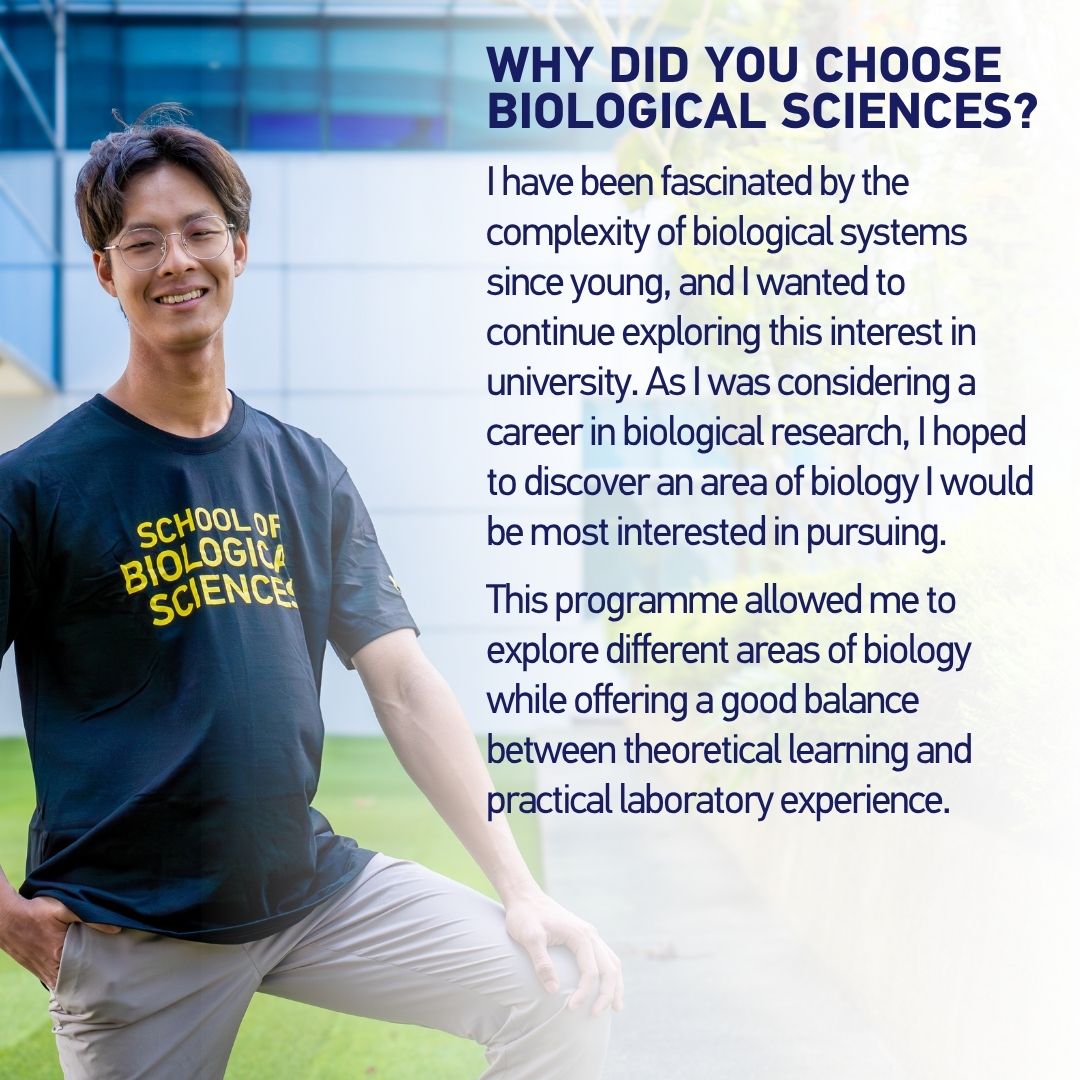 NTU College of Science tweet media