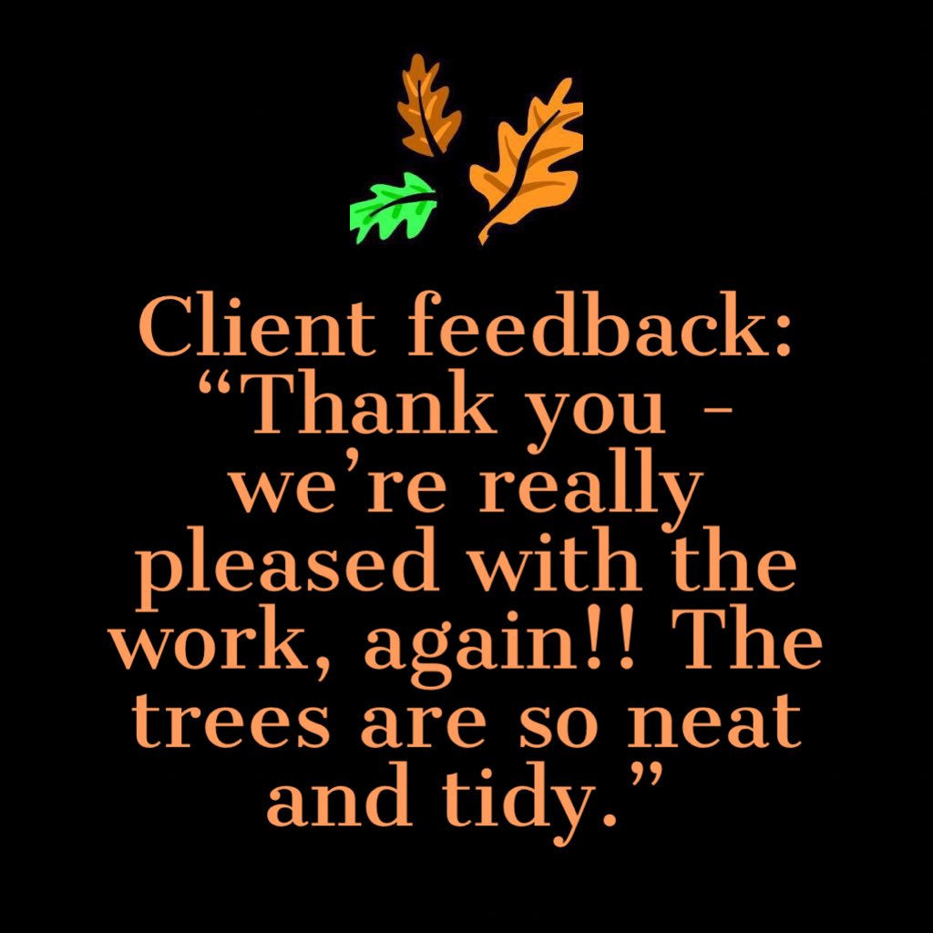 Masons Tree Surgery tweet media