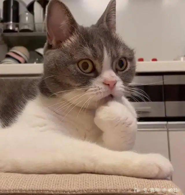 Not A Par tweet media