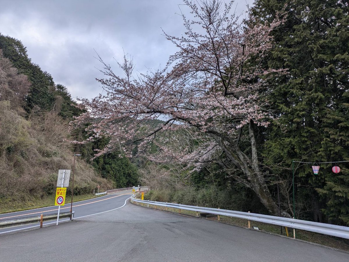 アネスト岩田ターンパイク箱根（箱根ターンパイク株式会社） tweet media